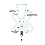 Lanyard Con Tip Top Plano Importado Y Arnes Tactico 2 5Cm personalizado con logo