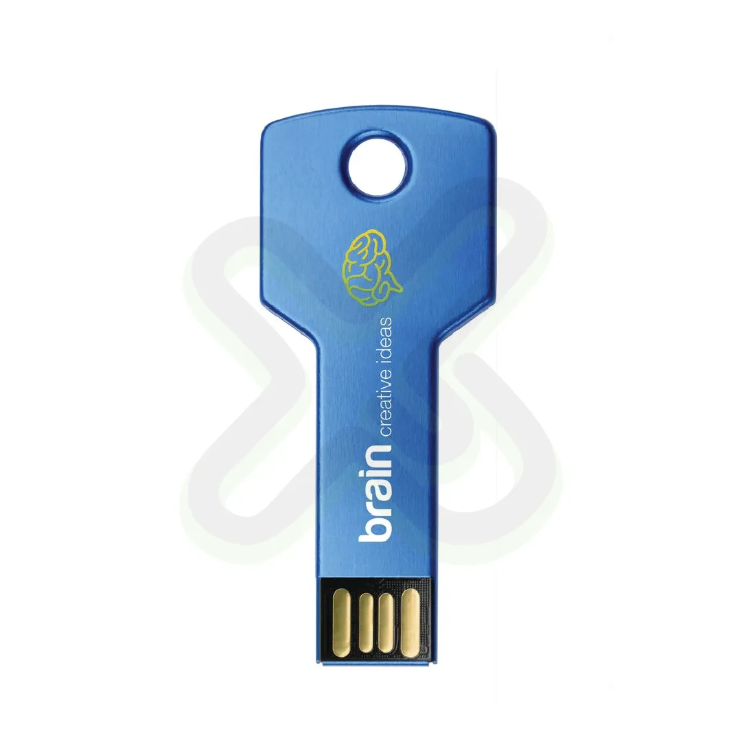 Usb En Forma De Llave
