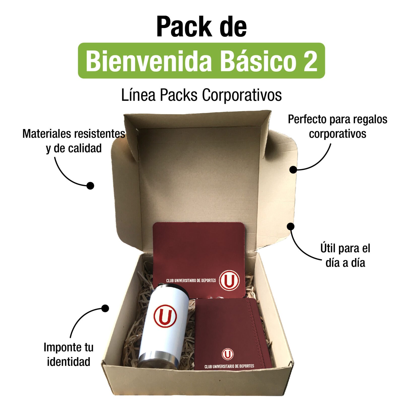 Pack Basico 2 publicitario para empresas